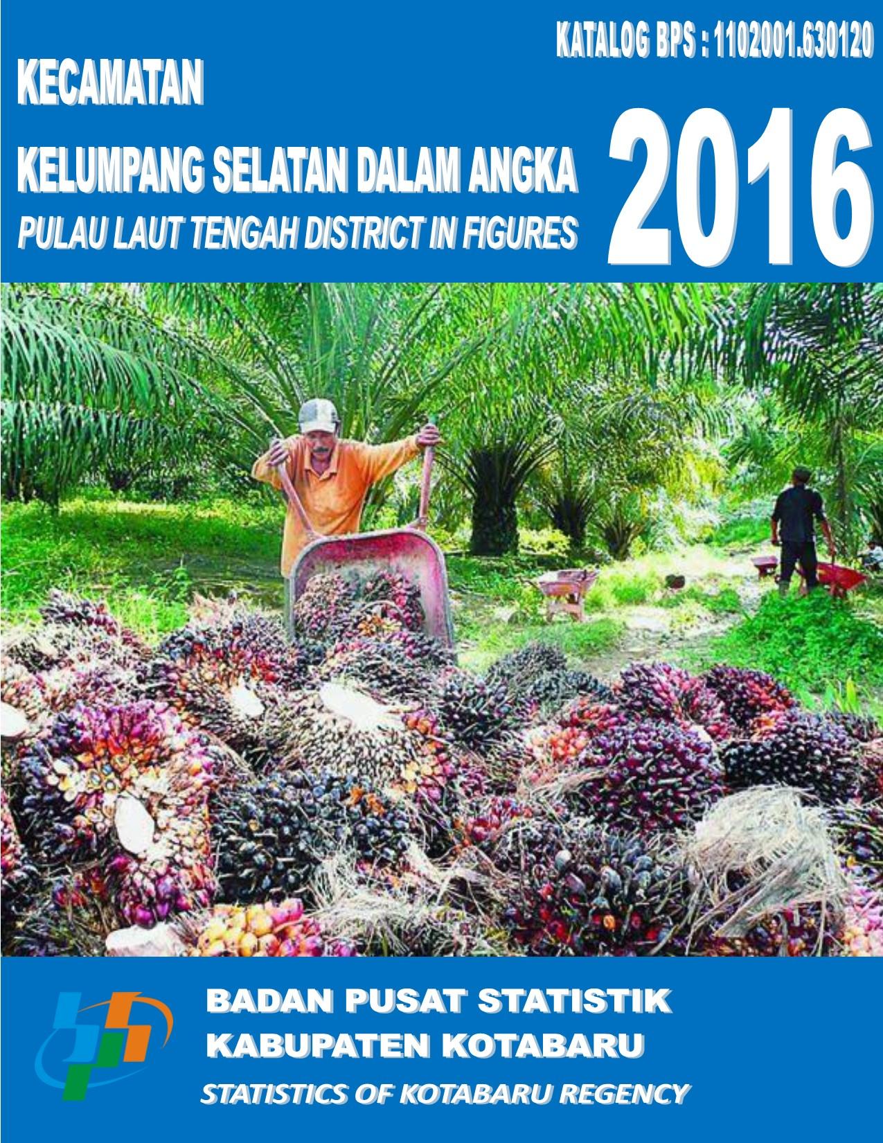 Kelumpang Selatan Subdistricts in Figures 2016